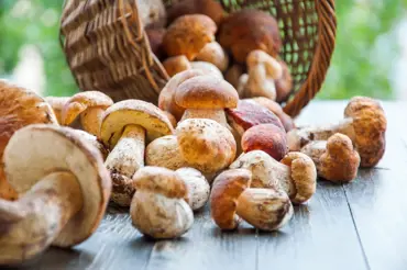 Kuchař radí: Jaká koření a bylinky se hodí k přípravě hub, aby lépe vynikla chuť