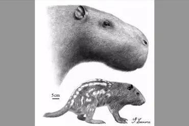 Krysa velikosti bizona s čelistí krokodýla: Podívejte, jak děsivě směšné monstrum žilo na Zemi