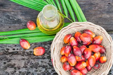 Palmový olej je skoro ve všem, výrobci ho skrývají za rostlinný tuk. Už jste slyšeli o jeho alternativě?