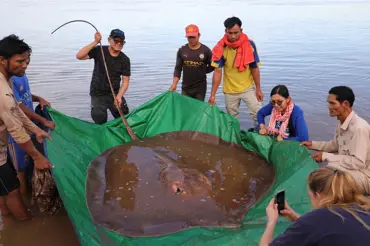 Rybáři vylovili z řeky obří monstrum a fotku dali na internet. U místních lidí vyvolali paniku