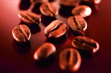 Kouzlo pěstování kávy – Do hrnečků se dostanou jen dva druhy z mnoha