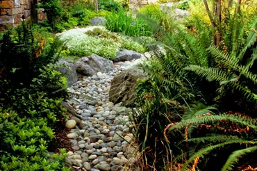 Suchý potok: Pokud ho ještě nemáte v zahradě, je to velká chyba, tvrdí odborníci