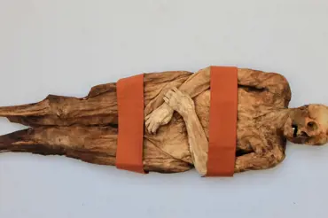 Vědci zrekonstruovali tvář mumie naložené ve rtuti. Je příbuzná Borise Johnsona. Jsou si podob