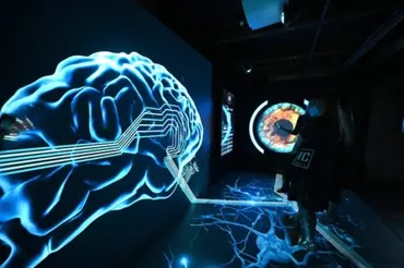 Lidský mozek pracuje jako počítač. Matematika je jen halucinace, tvrdí vědci