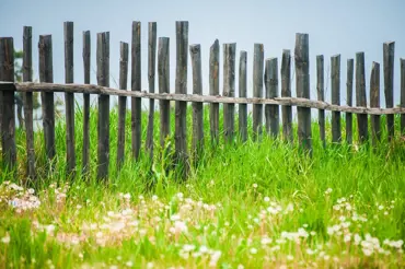 Ošklivý plot: Takto ho dokonale zamaskujete a bude chloubou vaší zahrady