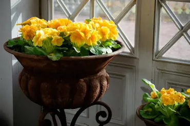 Jak vyladit interiér do jarní nálady - pomohou svěží barvy a květinové vzory