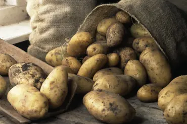 Jak skladovat brambory, aby se nezcvrkly, nevyklíčily a vydržely až do jara