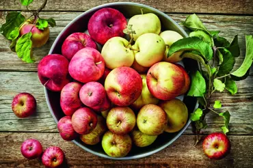 Jablka a co jste o nich nevěděli: Pro zdraví, na mošt, ale i obživa pro poutníky