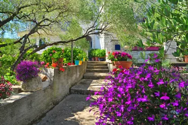 Jak vytvořit zahradu ve středomořském stylu: Nejdůležitější rady a 12 nejlepších rostlin