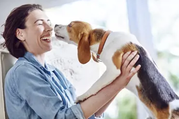 Co obnáší správná péče o zuby vašeho psa