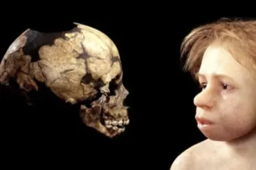 Vědci plánují klonování neandertálců. Plody odnosí dobrovolnice a porodí je císařským řezem
