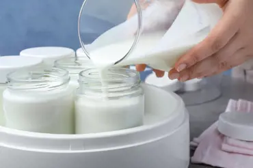 Jak vyrobit ten nejkrémovější domácí jogurt. Stačí jen dvě ingredience. Tenhle postup zvládnete i vy