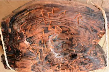 Vědci objevili hliněnou destičku. Nejstarší text na světě může přepsat historii