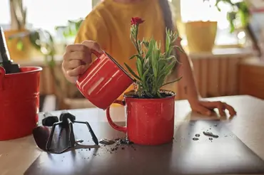 Jak využít staré nádobí: Díky těmto trikům z něj uděláte stylové nádoby na květiny