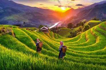 Video dne: Na mnohých rýžových polích se drží více než 2000 let staré tradice