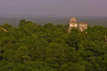Radar odhalil v Amazonském pralese 60 000 neuvěřitelně vyspělých staveb
