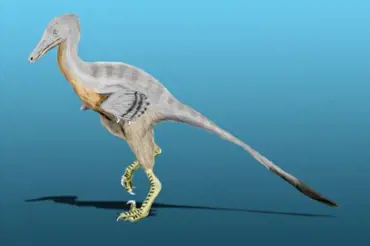 Vědci našli kosti největšího dravého monstra všech dob. Byl strašnější než T-rex. Takto vypadal