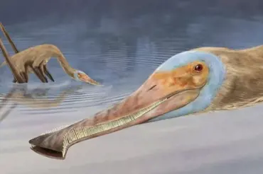 Vědci našli nejpodivnějšího dinosaura všech dob. Jeho placatý zubatý zobák vás rozesměje k slzám