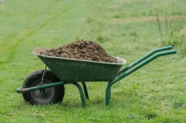 Jak ušetřit na zahradě: Připravte si hnojiva z vlastních zdrojů a bez chemie