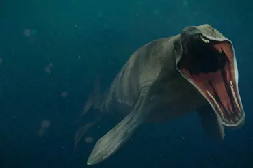 Vědci našli v poušti kostru zabijácké prehistorické velryby. Lebka je hrozivá