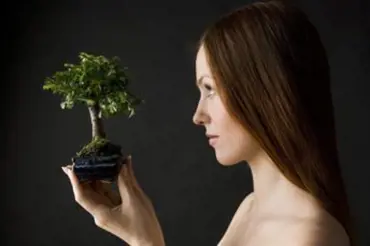 Lákadlo jménem bonsaje: Jak o ně pečovat?