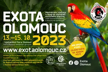 Velký návrat výstavy Exota Olomouc. Mezinárodní přehlídka exotického ptactva se uskuteční v říjnu