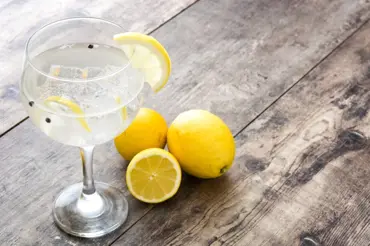 Recepty na nejlepší gin tonic