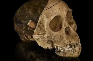 Vědkyně zrekonstruovala děsivé ostatky 2000 let staré mumie. Objevila se nádherná ženská tvář