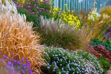 Inspirace od profesionálních zahradníků: Takto krásná může být podzimní zahrada