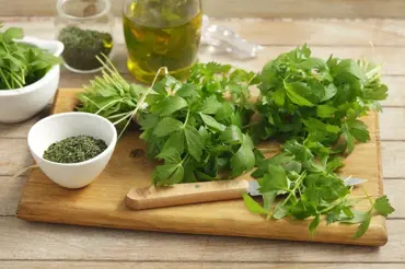 Pesto z libečku má v kuchyni velké využití: Aromatické listy jsou nejzdravější právě na jaře