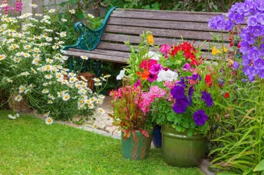 10 bezúdržbových trvalek našich babiček, které rozzáří vaši zahradu. Máte je?