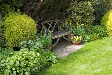 Světlo, stín a polostín na zahradě: Většina lidí to neumí rozlišit. Co vy?
