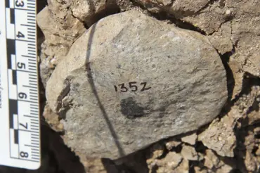 Vědci objevili záhadné kamenné nástroje starší než lidstvo. Nechápou, kdo je mohl vyrobit. Lidé to nebyli