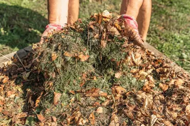 Co na podzim nesmí na kompost a jak ho správně vrstvit, abyste ho nezničili