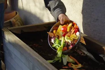 7 nejpodivnějších věci, které můžete s klidem dávat na kompost. Málokdo to o ví