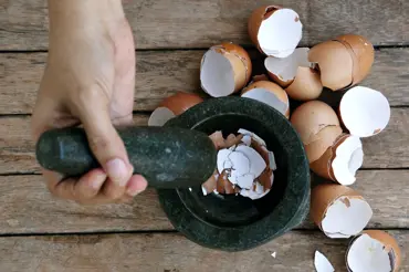 Vaječné skořápky nevyhazujte! Neuvěříte, k čemu se dají použít. Můžete je jíst nebo nastražit na slimáky