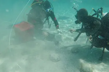 Potápěč našel na dně moře lesklý předmět. Vytáhl ho a vypukl poprask. Vědci jsou na stopě objevu století