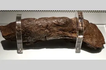 Podivná fosilie z doby Vikingů překvapila vědce. Koprolit má pro ně velký význam