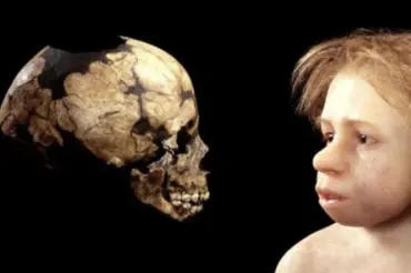 Vědci zrekonstruovali tváře prvních kříženců neandrtálců a lidí. Mají pozoruhodné rysy. Jsou nám podobní?