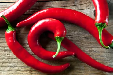 Kayenský pepř čili chilli: nejpálivější papričky 