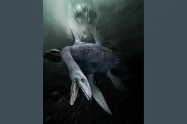 Vědci našli v Antarktidě největšího mořského dinosaura. Vypadá jako lochesska