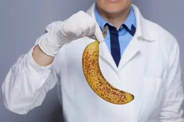 Skrytá škodlivost banánů, o které nikdo nemluví