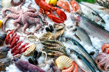 Jak chutná podmořská říše: Která ryba funguje jako afrodiziakum a kam na nejslavnější rybí polévku