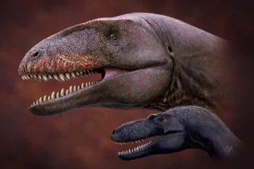 Obří monstrum strašnější než T-rex: Ulughbegsaurus měl navíc žraločí zuby