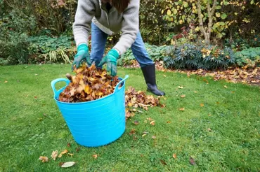 Vytvořte si speciální kompost, na míru šitý vaší zahradě. Zde jsou vaše možnost