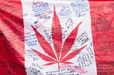 Kouření marihuany z nás dělá lepší matky, tvrdí dvě kanadská ženská sdružení