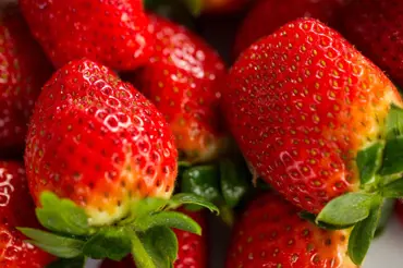 Domácí hnojivo na jahody: Díky droždí a cukru bude vaše úroda obrovská