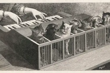 Živé kočičí piano: Nejpodivnější nástroj k léčení duševně nemocných