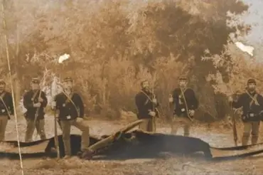 Prohlédněte si tuto starou fotografii. Mohli američtí vojáci v roce 1864 střelit pterodaktyla?