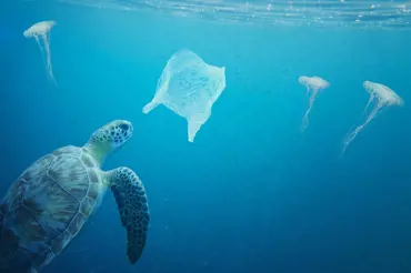 Odlehčeme planetě! 6 tipů, jak nenásilně zredukovat každodenní spotřebu plastů